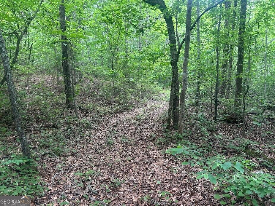 236 RiverSong (TRACT 8)
