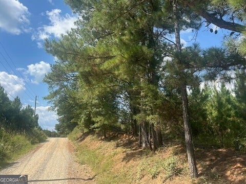 Photo of 0 Cook Road #TRACT 12, Monticello, GA 31064 (MLS # 10848938)