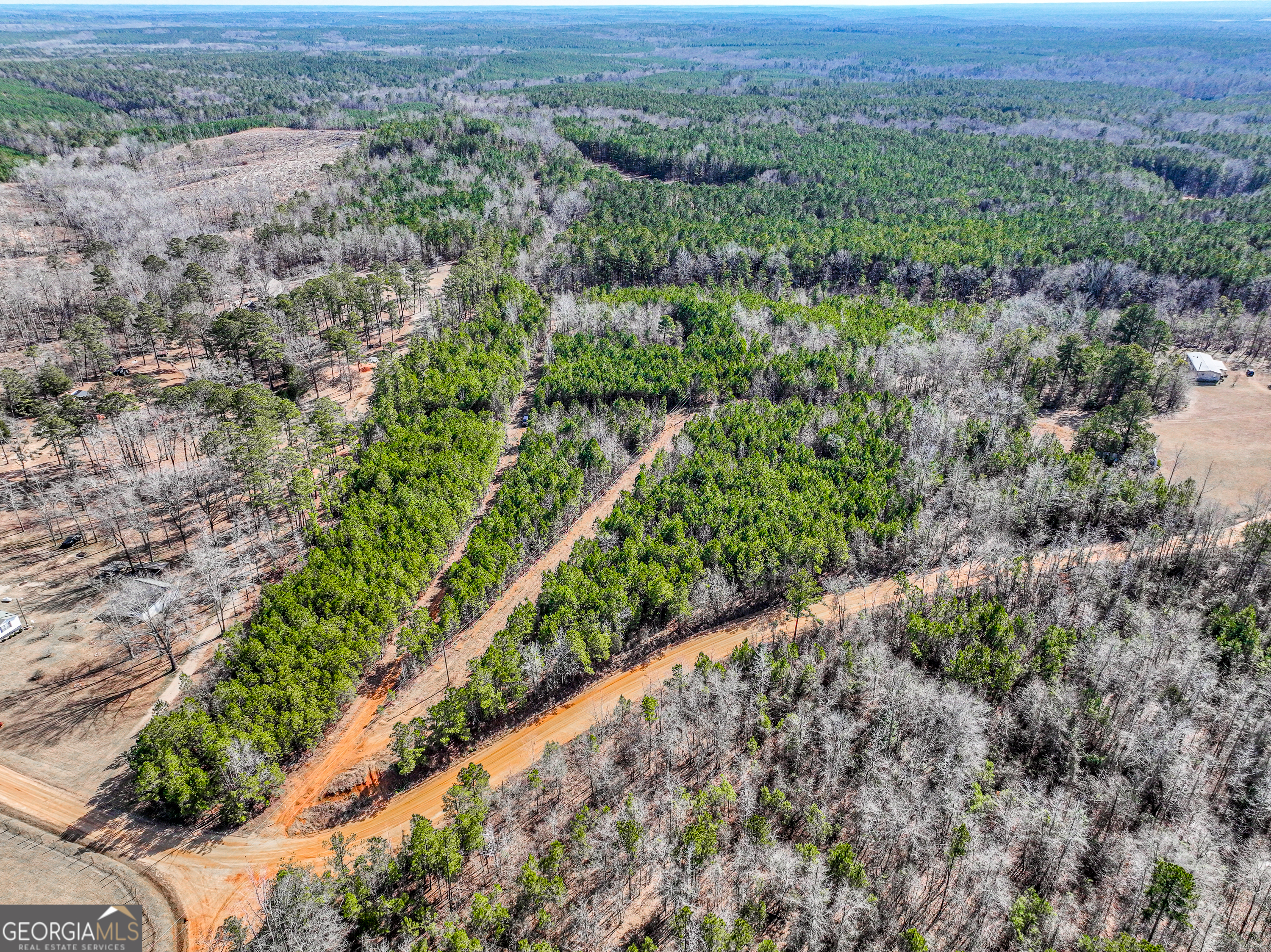 This is a Rare Opportunity to buy 60 acres 100 miles east of Atlanta. Nestled just 10 miles from the vibrant and historic downtown of Milledgeville, 184 Young Road offers a serene escape with endless possibilities. The peace and quiet is so intense you can feel it. This expansive, 60-acre property boasts level, partially cleared land, making it ideal for a variety of uses, whether you envision a recreational retreat, a productive agricultural venture, or the site of your dream home. Once a thriving working farm, the land now offers a blank canvas for your vision. Its tranquil setting combines natural beauty with the convenience of proximity to Milledgeville, a city rich in history and charm. As Georgia's former state capital, Milledgeville is steeped in Southern heritage and home to Georgia College and State University. The picturesque downtown area is alive with an array of restaurants, unique shops, and historical landmarks that attract visitors and residents alike. Whether you're seeking a peaceful rural lifestyle or a versatile investment, 184 Young Road is a rare gem offering both potential and proximity to a community with deep roots and modern appeal. Don't miss this chance to own a piece of Georgia's heartland. Priced to sell As Is, this is an estate sale. Probate has been completed. The property currently has conservation status.