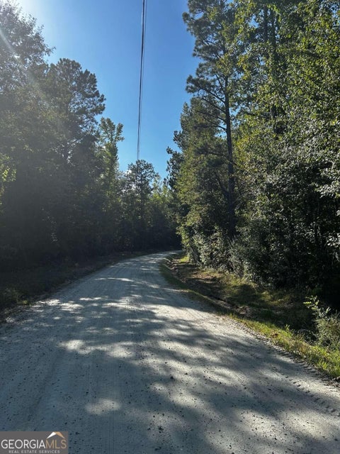 Photo of 12345 Hamilton Road, Palmetto, GA 30268 (MLS # 10845737)