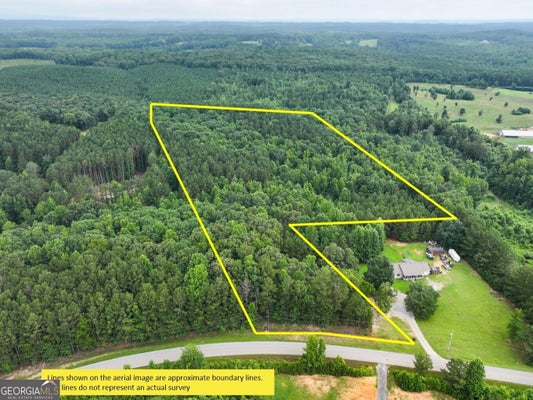 POPE LAKE RD, BUCHANAN, GA 30113 - Image 8ab0376871a1aa1738d5c7510dca2db8/4120613331