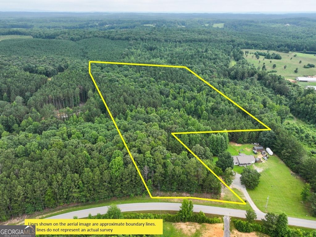 Photo of 18 +/- Acres on Pope Lake Road, Buchanan, GA 30113 (MLS # 10805667)