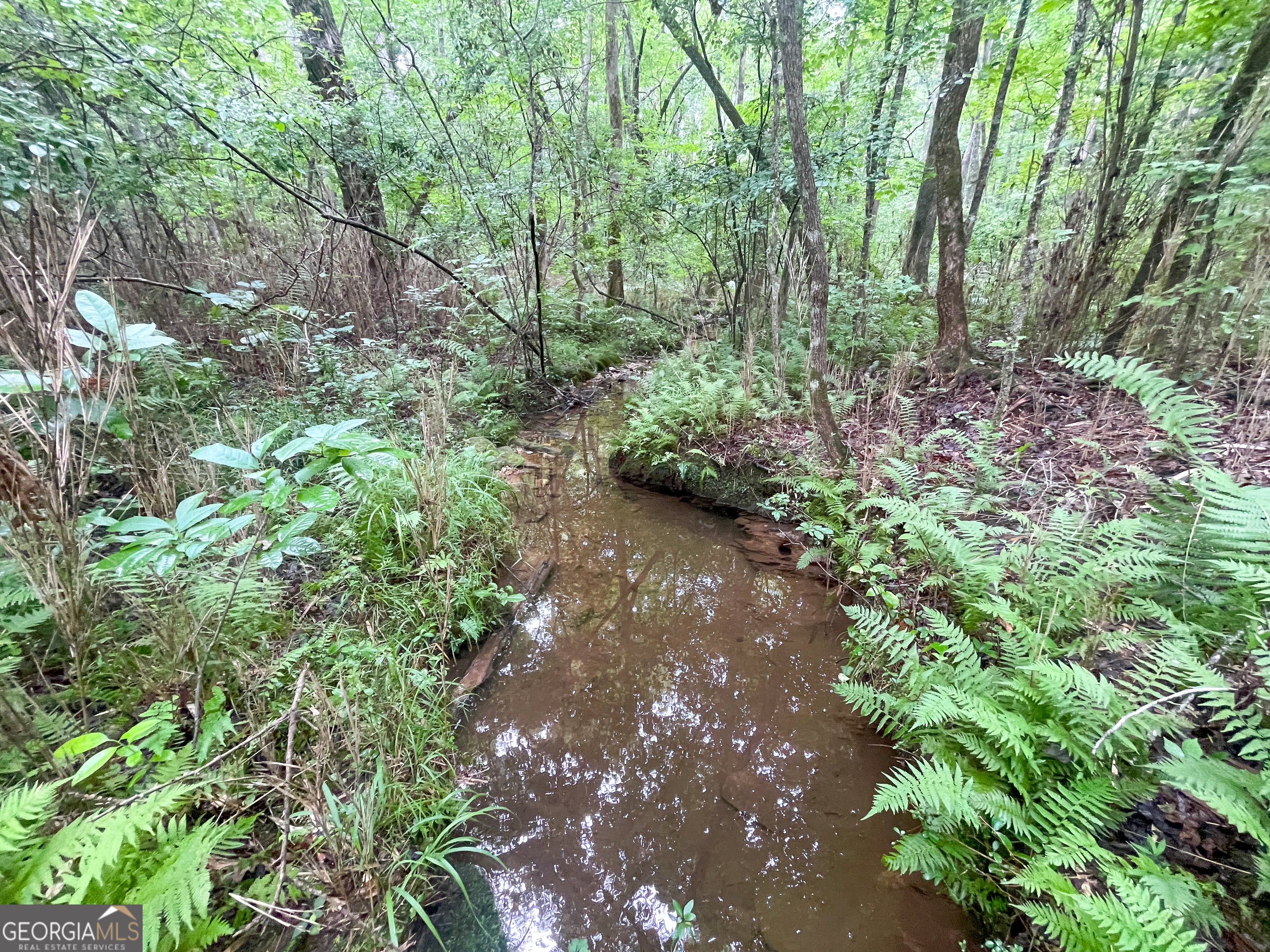 18 +/- Acres on Pope Lake RD