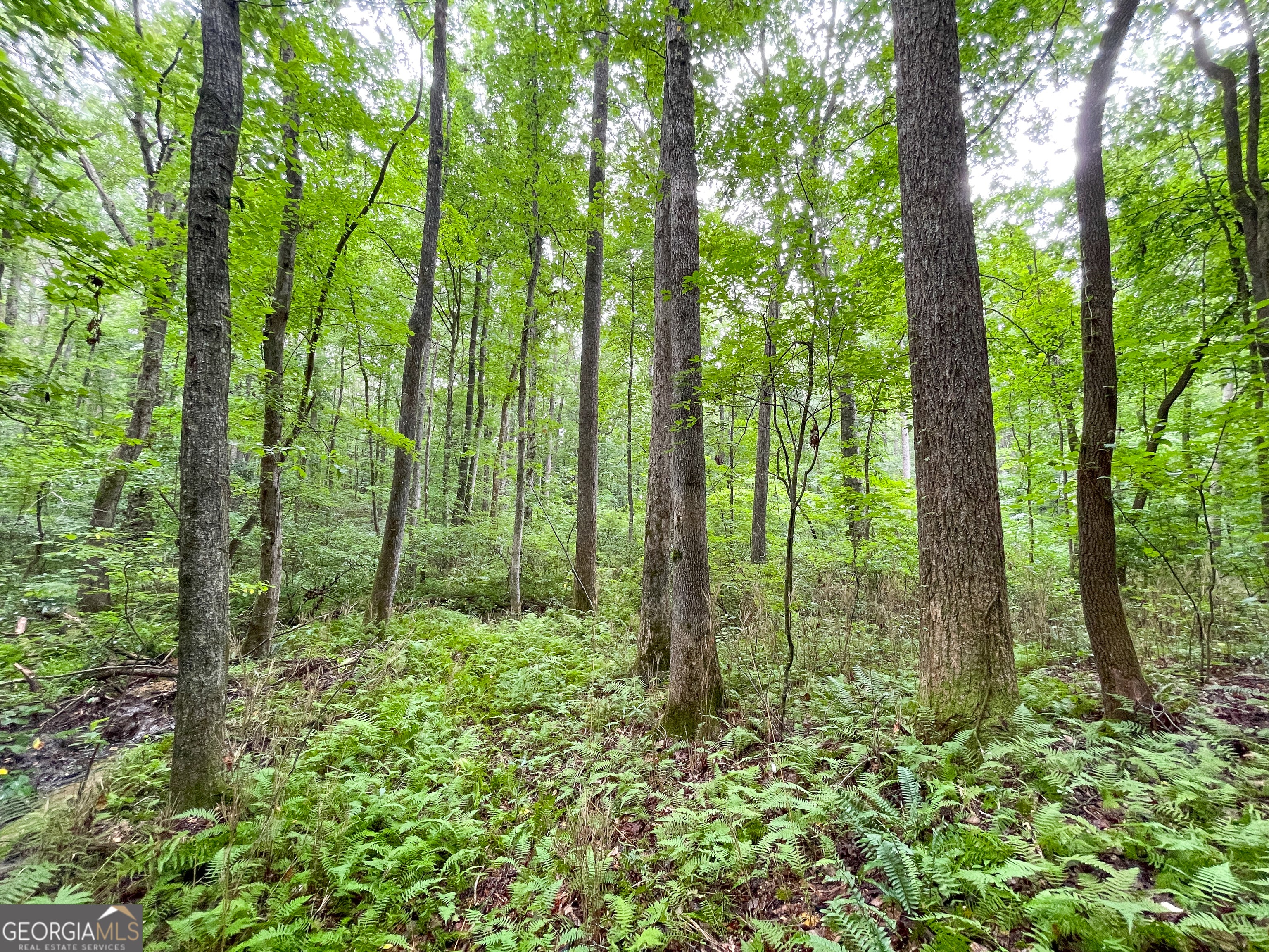 18 +/- Acres on Pope Lake RD