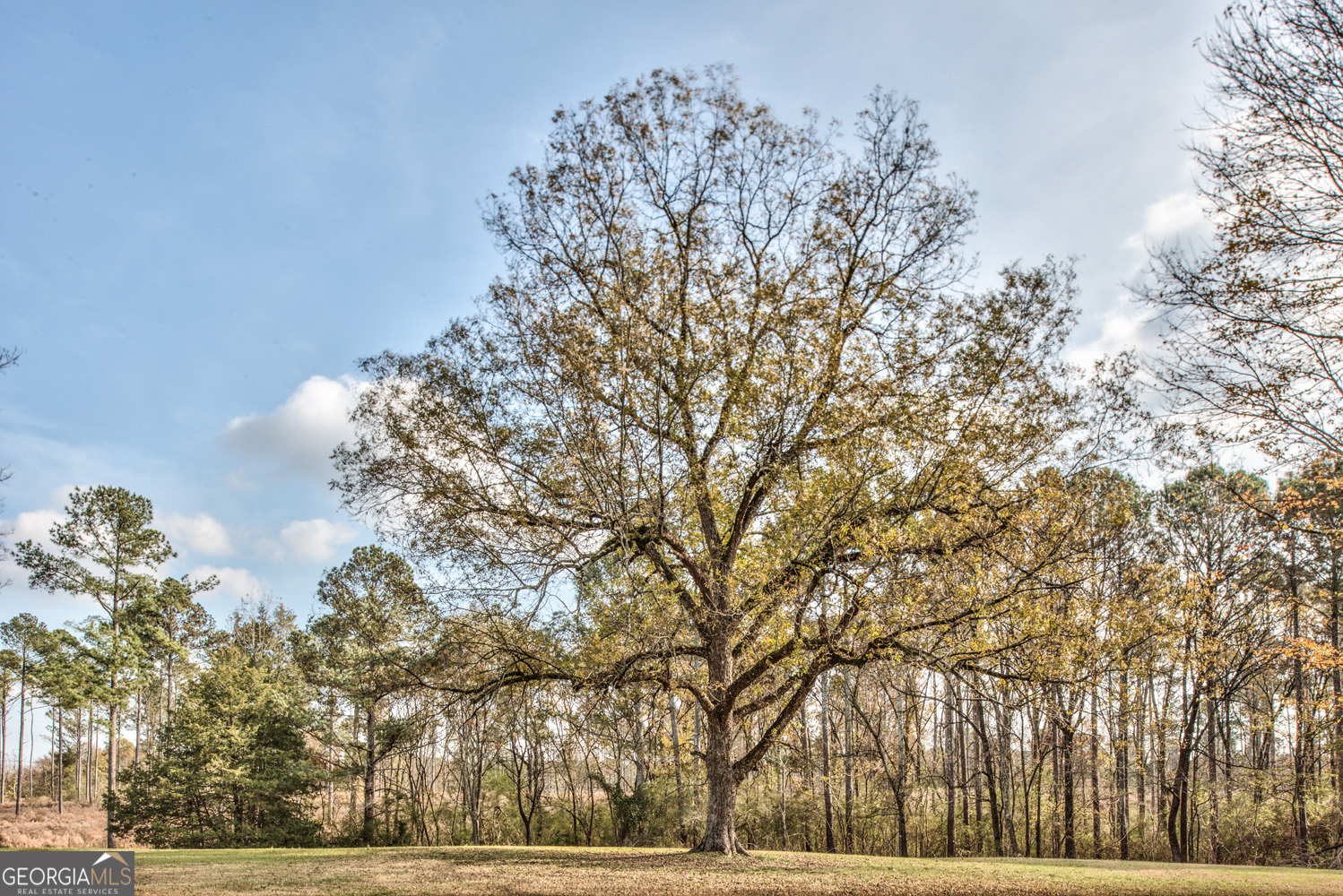 5140 Seven Islands RD