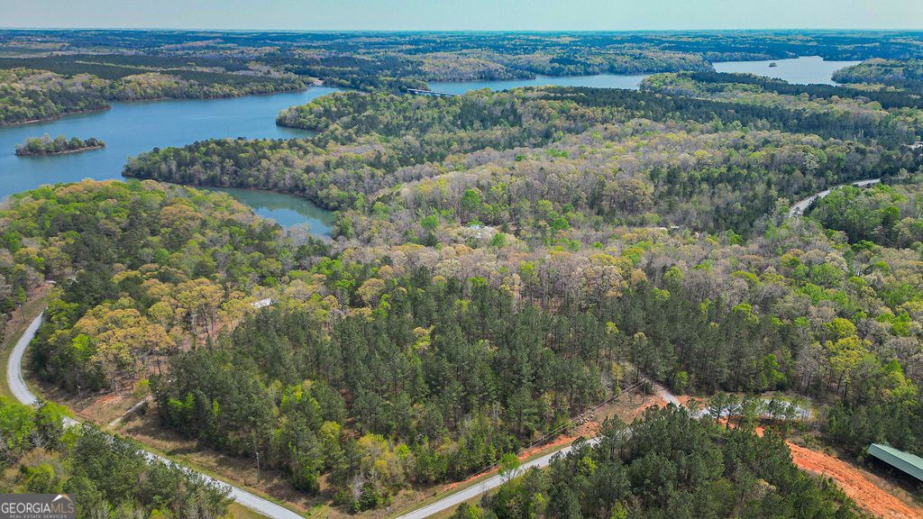 Photo of 0 Long Pine Lane, Elberton, GA 30635 (MLS # 10724640)