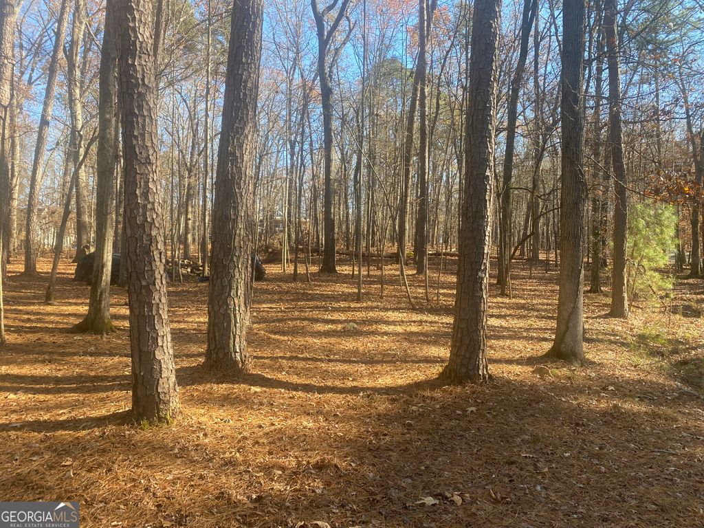 Photo of 3353 Galts Road, Acworth, GA 30102 (MLS # 10658021)