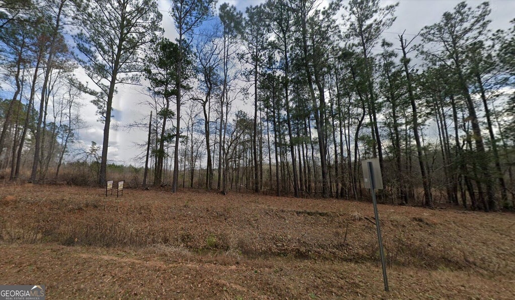Photo of 2255 Willow Lake Road, Fort Valley, GA 31030 (MLS # 10843158)