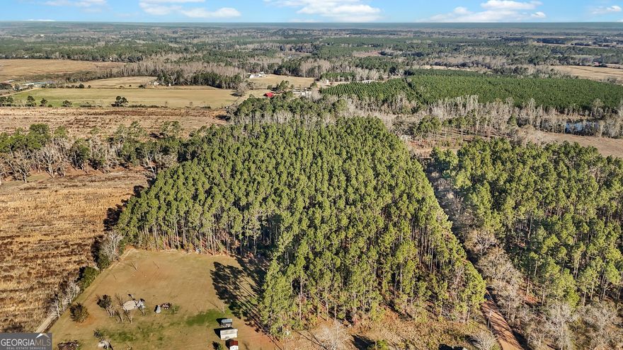 Build Your Dream Home on 11.73 Acres of Tranquil Land in Jesup, GA!  Escape to the peace and quiet of country living on this expansive 11.73-acre parcel of vacant land located on Hires Road in Jesup, GA just off of Oglethorpe Highway. This residential-zoned property offers the perfect opportunity to create your own private oasis. Imagine waking up to the sounds of nature and enjoying the privacy and serenity that comes with owning a large piece of land. With ample space for your dream home, a garden, and even room for recreational activities, this property provides endless possibilities. Don't miss this rare opportunity to own a piece of the Georgia countryside and build the life you've always envisioned. Located on Hires Road, providing convenient access to the amenities of Jesup while maintaining a peaceful, rural atmosphere. Contact us today to learn more!