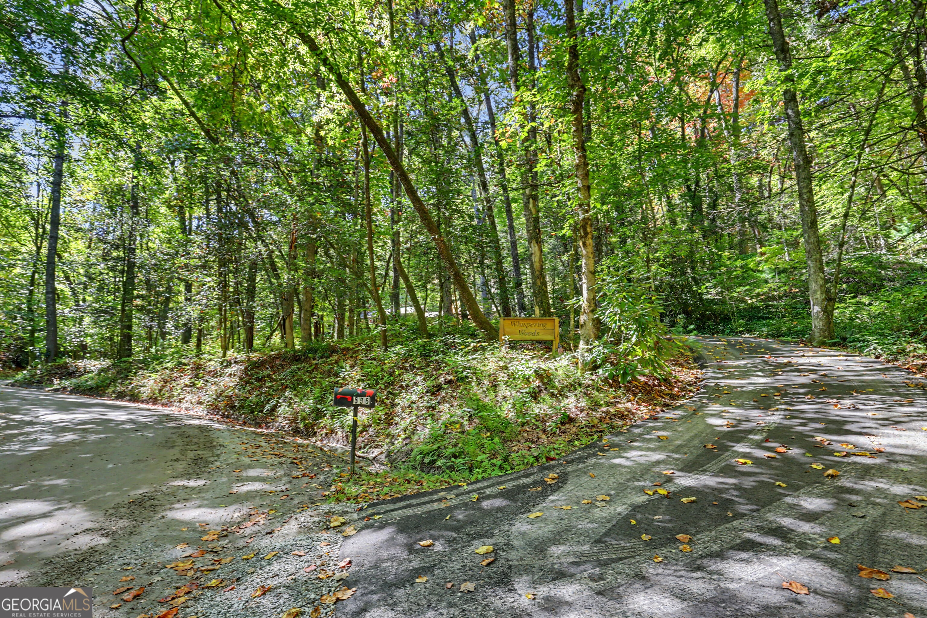 596 Moses Road