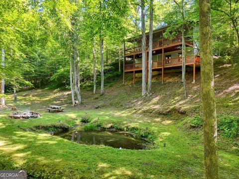 A home in Hiawassee