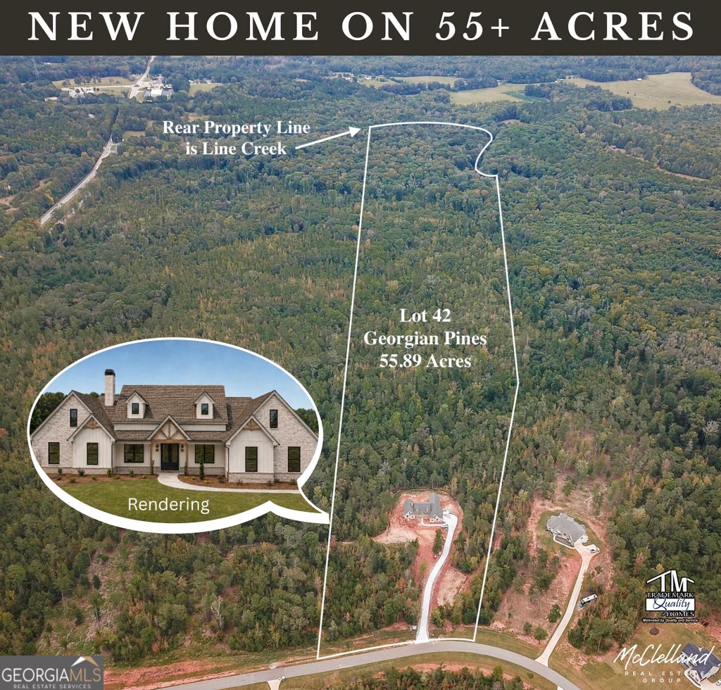 Photo of 42 Starlight Dr., senoia, GA 30276 (MLS # 10870797)