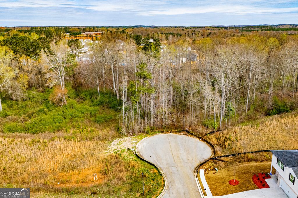 Photo of 138 Deer Crossing, Temple, GA 30179 (MLS # 10715300)