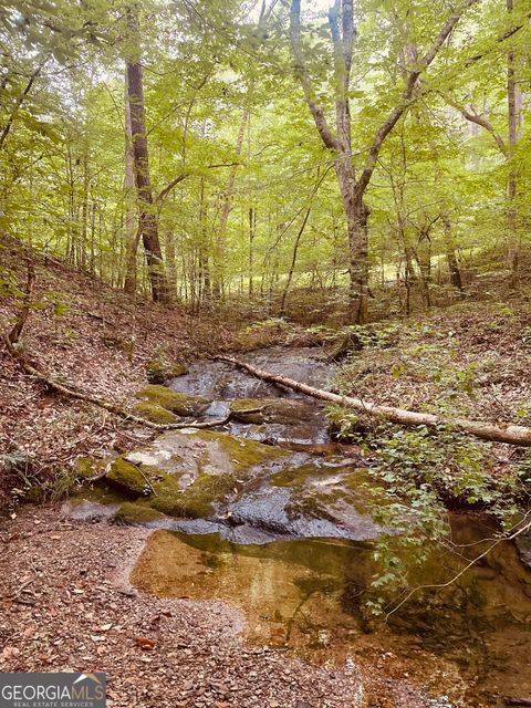 Photo of 852 Albus Court NE, Ranger, GA 30734 (MLS # 10182368)