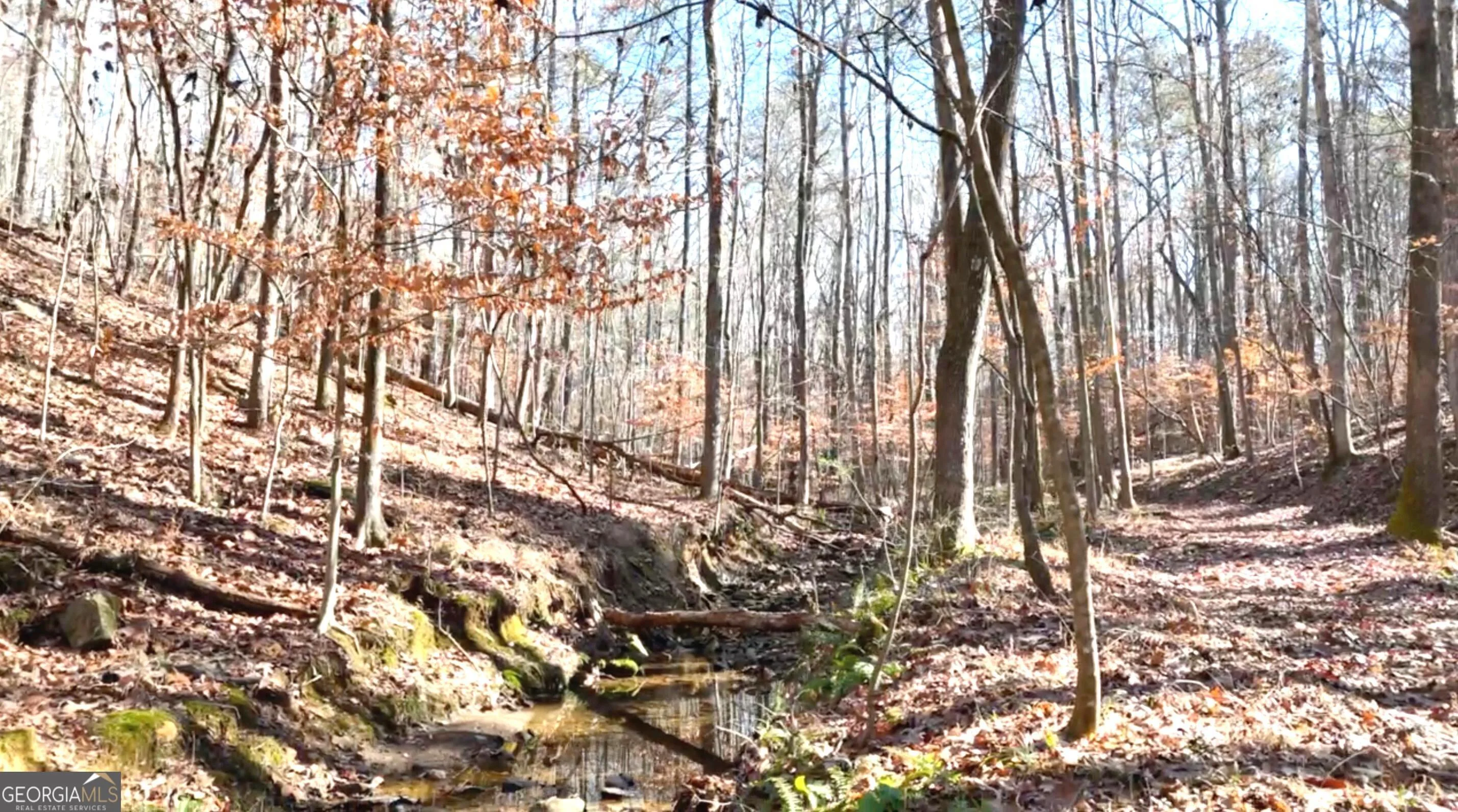 6147 Little Ridge Road Unit LOT #2