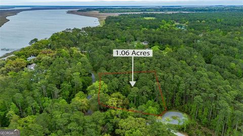 Photo of 216 Riverpoint Lane NE, Townsend, GA 31331 (MLS # 10739228)