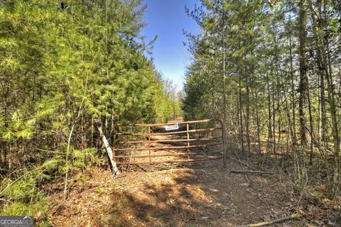 48.4AC Lofty HTS Mineral Bluff GA 30559