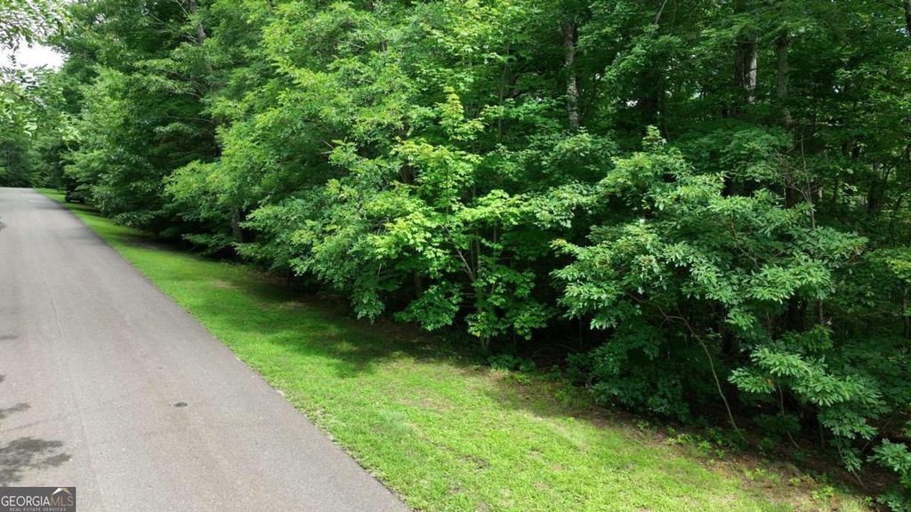 Photo of 206 Northview Parkway, Ellijay, GA 30536 (MLS # 10735833)