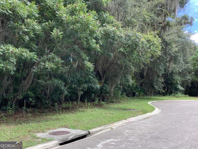 This wonderful home site is located in the beautiful coastal community of Cumberland Harbor. Cumberland Harbor was voted in the top 100 communities in Ideal Living Magazine. Included in the Cumberland Harbor amenities are 24/7 gated security, bike and walking trails, swimming pools for children and adults, tennis courts and pickle ball. You may also enjoy using the wonderful fitness center. This ideal location is located on a quiet street surrounded by natural foliage, which enhances this natural site. Come enjoy this wonderful coastal low country living natural site and build that beautiful custom home of your dreams. Call for a tour and experience all that Cumberland Harbor has to offer.