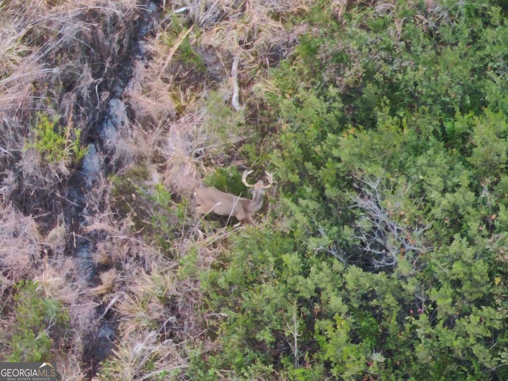 Photo of 5321 Irma Lee Lane, Tarrytown, GA 30470 (MLS # 10653881)