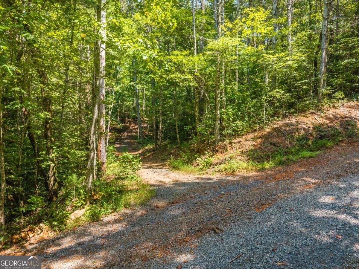 TRACT 2A Stevens Ridge RD
