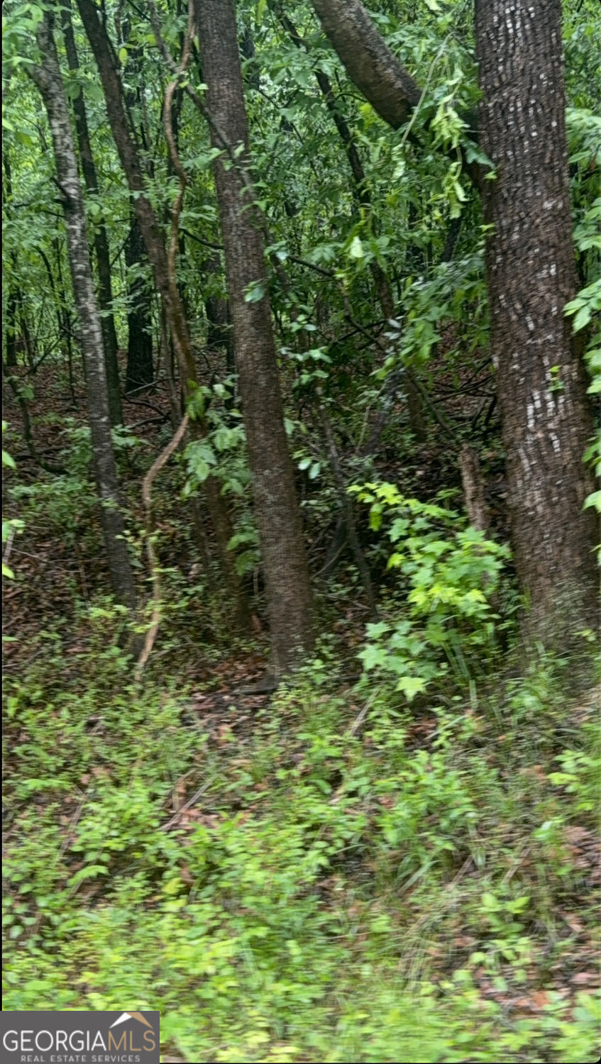 Discover the potential of this expansive 7.999-acre parcel, offering a rare opportunity to build your dream estate, develop, or invest in a growing area. Located in a desirable and rapidly developing region, this versatile land features a mix of open space and natural beauty, providing the ideal setting for residential, agricultural, or commercial use (subject to zoning). With easy access to major roads and nearby amenities, this property combines rural charm with convenience. Utilities available nearby. Don't miss out on this unique opportunity-schedule a tour today!