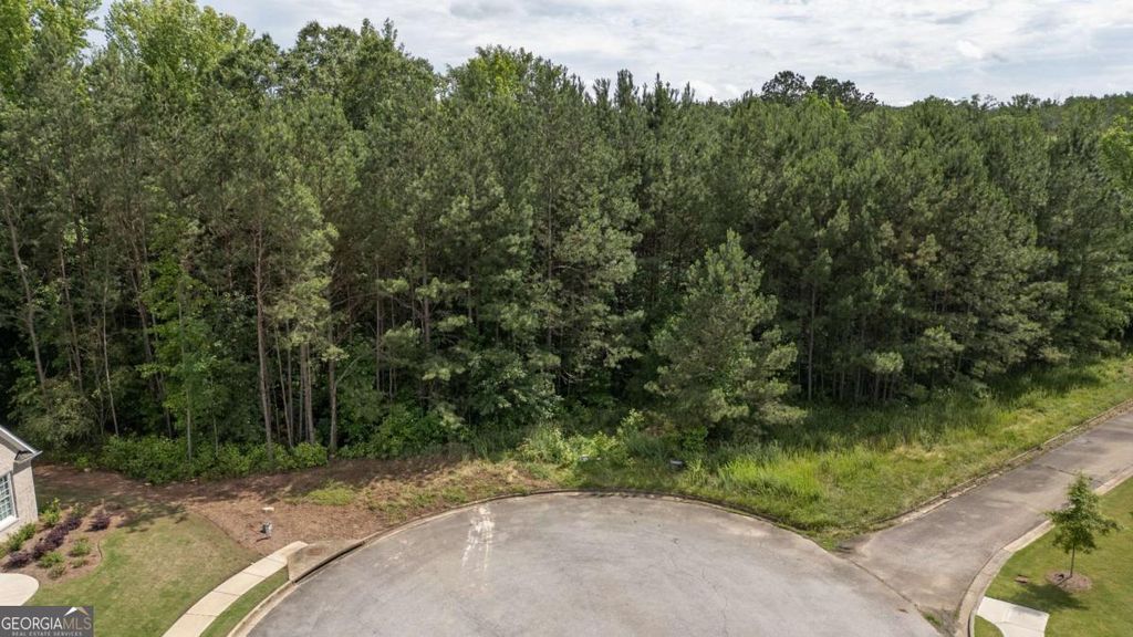 Photo of 462 Manchester Lane, Villa Rica, GA 30180 (MLS # 10654596)