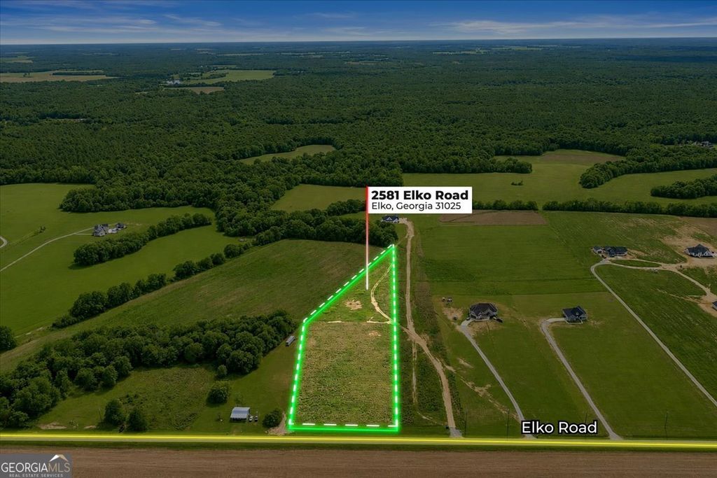 Photo of 2581 Elko Road, Elko, GA 31025 (MLS # 10784117)