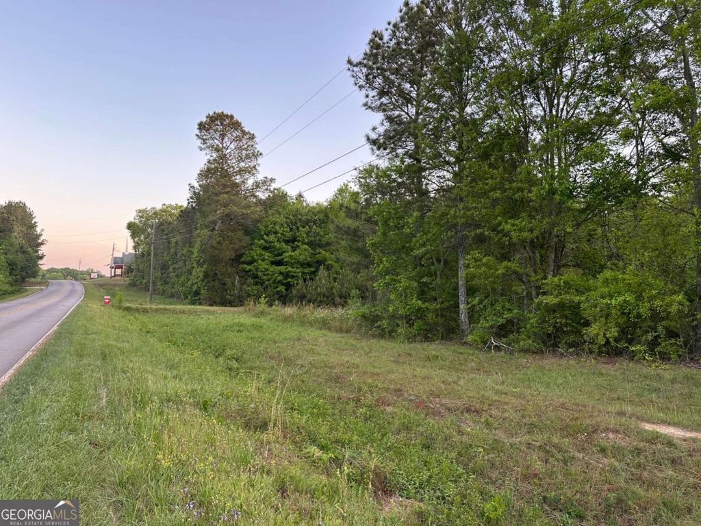 Photo of 0 Sandy Flat Road, Bowdon, GA 30108 (MLS # 10735219)