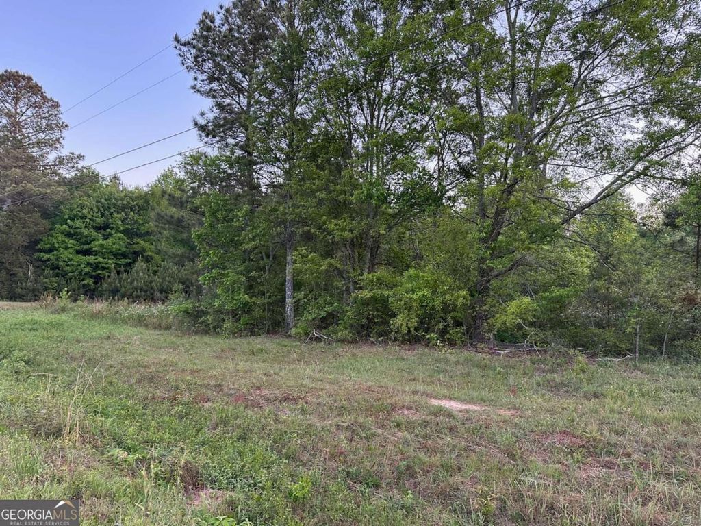 Photo of 0 Sandy Flat Road, Bowdon, GA 30108 (MLS # 10735219)