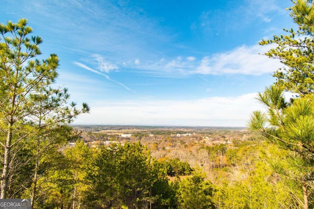 Photo of 115 Pinto Lane, Fairmount, GA 30139 (MLS # 10848148)