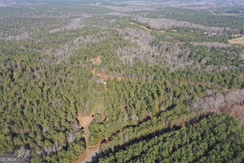 Photo of 0 Hulmes Chapel Road, Elberton, GA 30635 (MLS # 10736203)