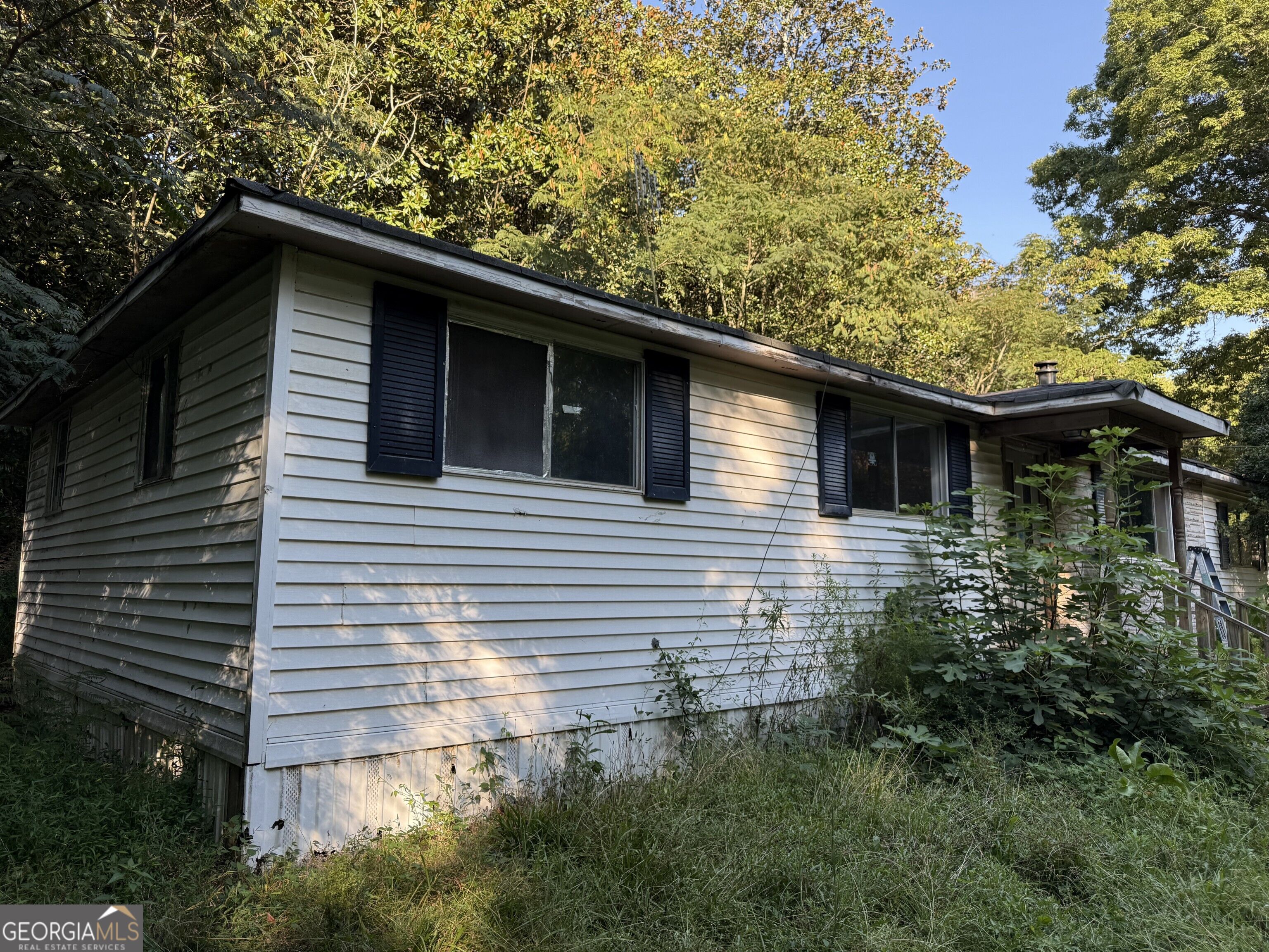 11 Falcon DR