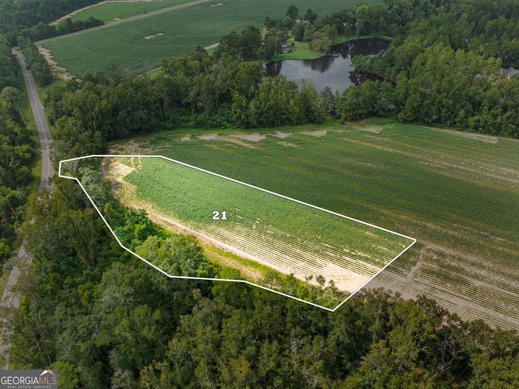 Photo of 0 Miller St Extension #LOT 21, Statesboro, GA 30458 (MLS # 10776337)