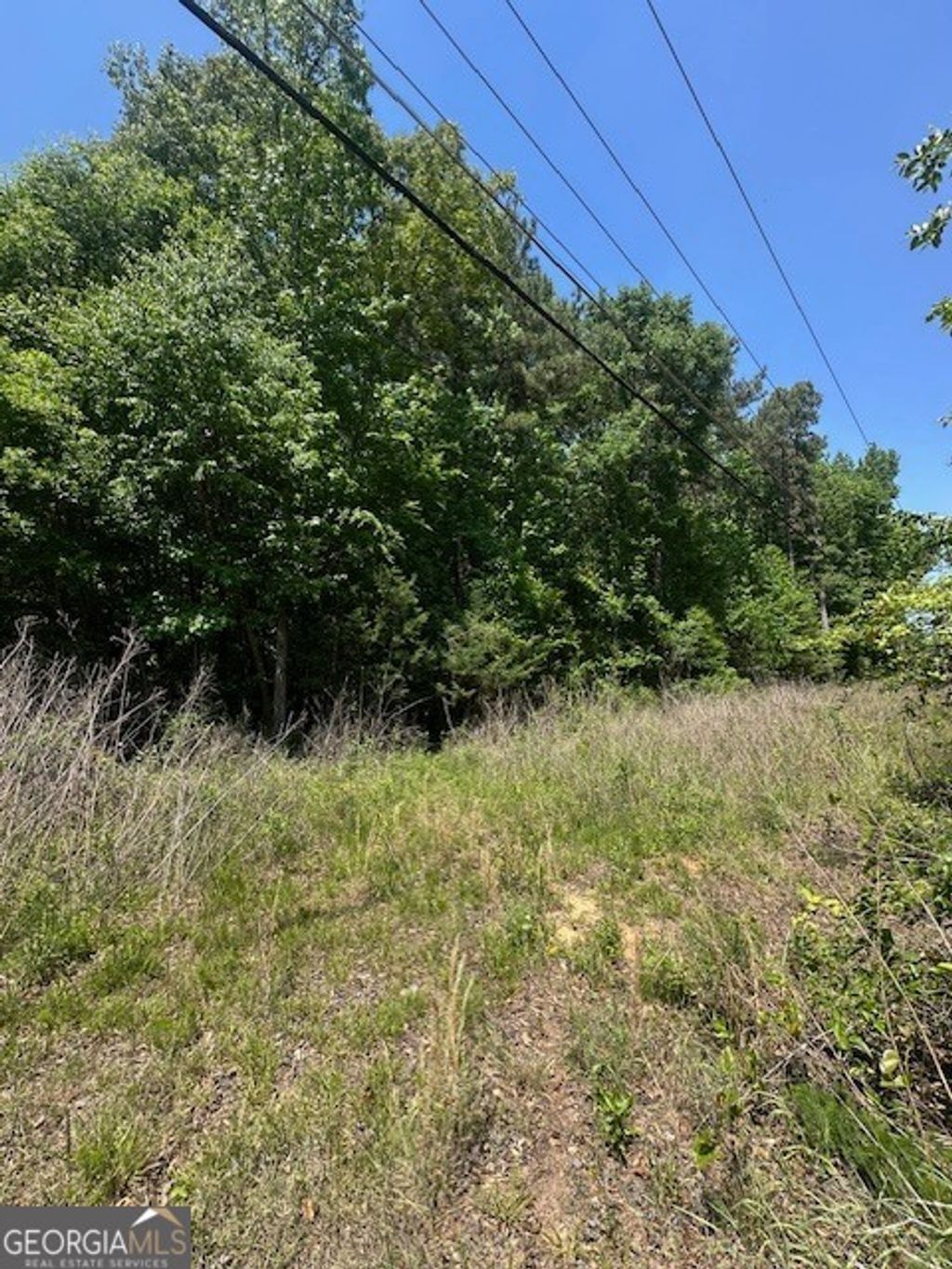 Photo of 0 Mize Road, Commerce, GA 30529 (MLS # 10739522)