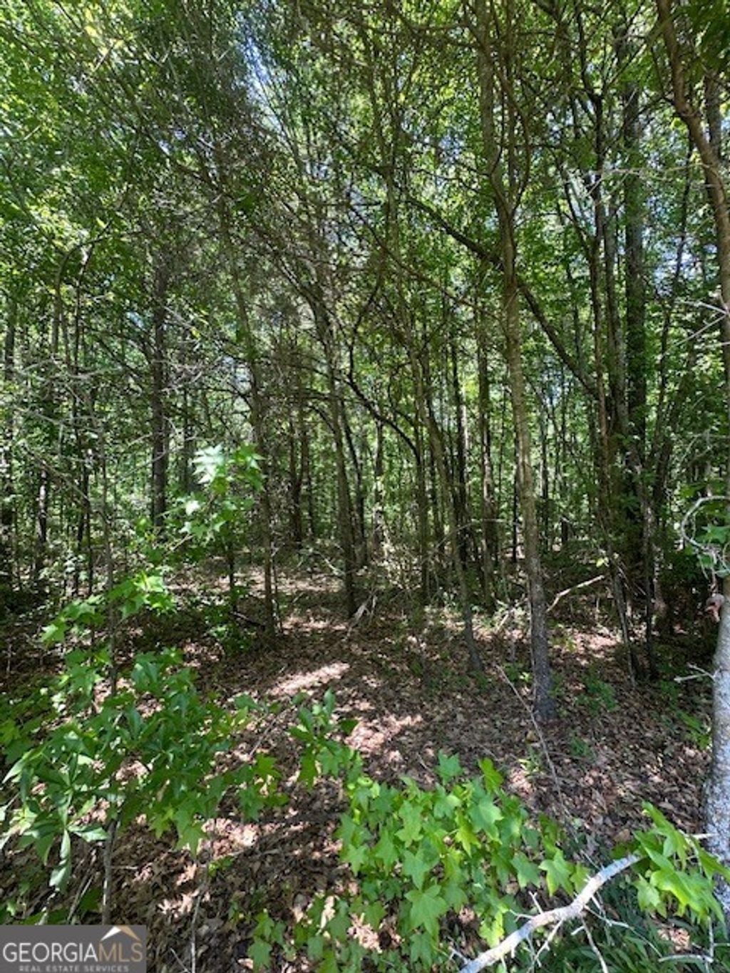 Photo of 0 Mize Road, Commerce, GA 30529 (MLS # 10739522)