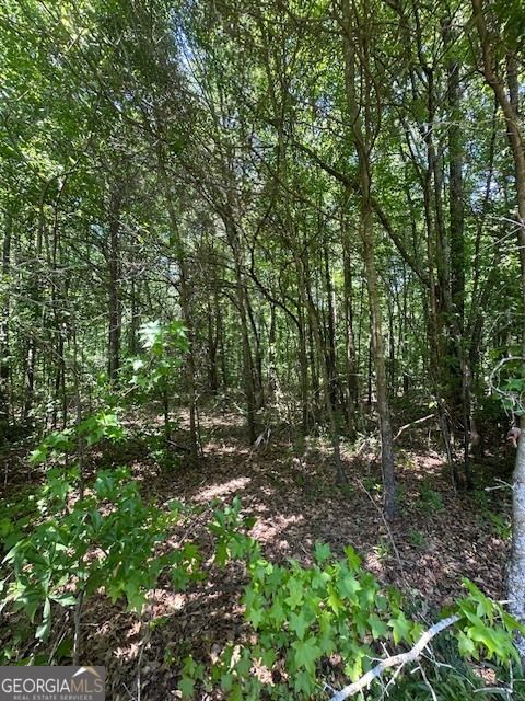 Photo of 0 Mize Road, Commerce, GA 30529 (MLS # 10739522)