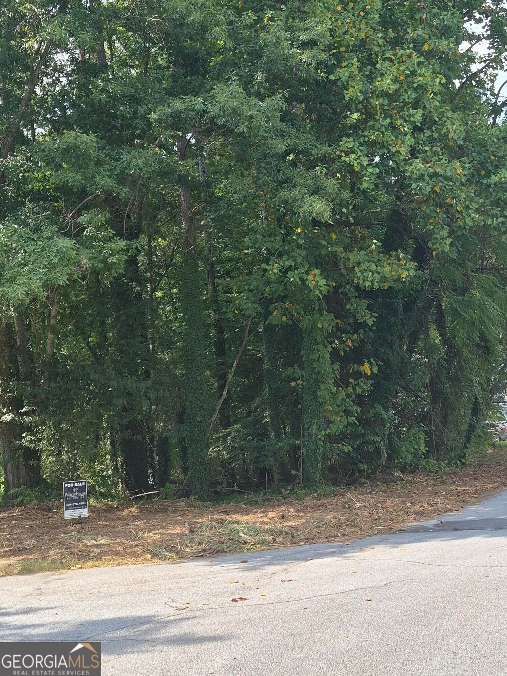 Photo of 1077 Crooked Creek Road, Lithonia, GA 30058 (MLS # 10834644)