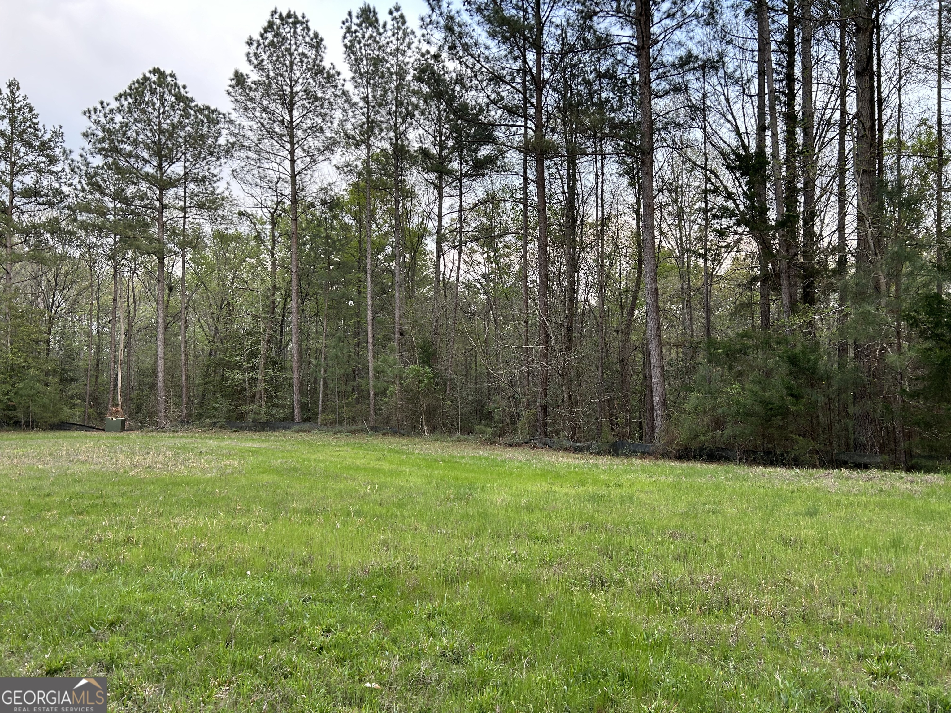 OWNER FINANCING AVAILABLE! If you're looking for privacy, tranquility and lake life, this .98 acre lot in a gated lake community checks all the boxes. Build your dream house and enjoy the amazing views of Lake Russel from your backyard. Only a short drive to play golf on one of the top 10 courses in Georgia at Richard B Russell State Park. Electricity is available, and a community water system is in place. Call today to see this amazing property! Details of the sub division can be found at savannahlandings.org HOA Fees are $250 per year per lot.