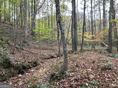 Photo of 1806 Browning Road, Rockmart, GA 30153 (MLS # 10436405)