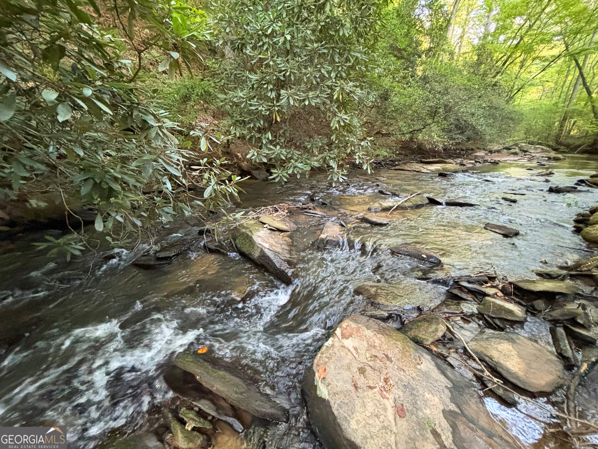 LOT 19 Mt. Springer RD