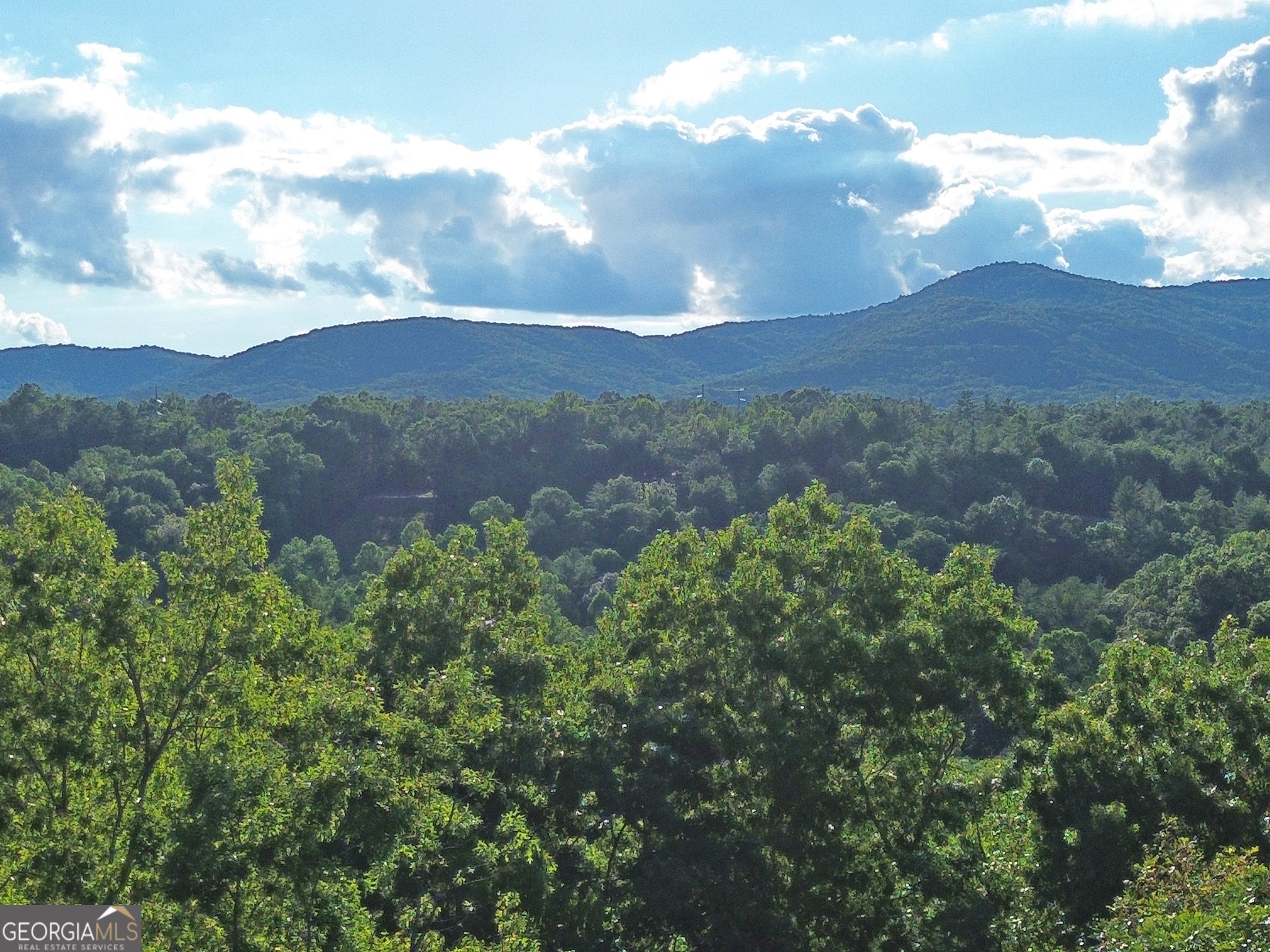LOT 19 Mt. Springer RD