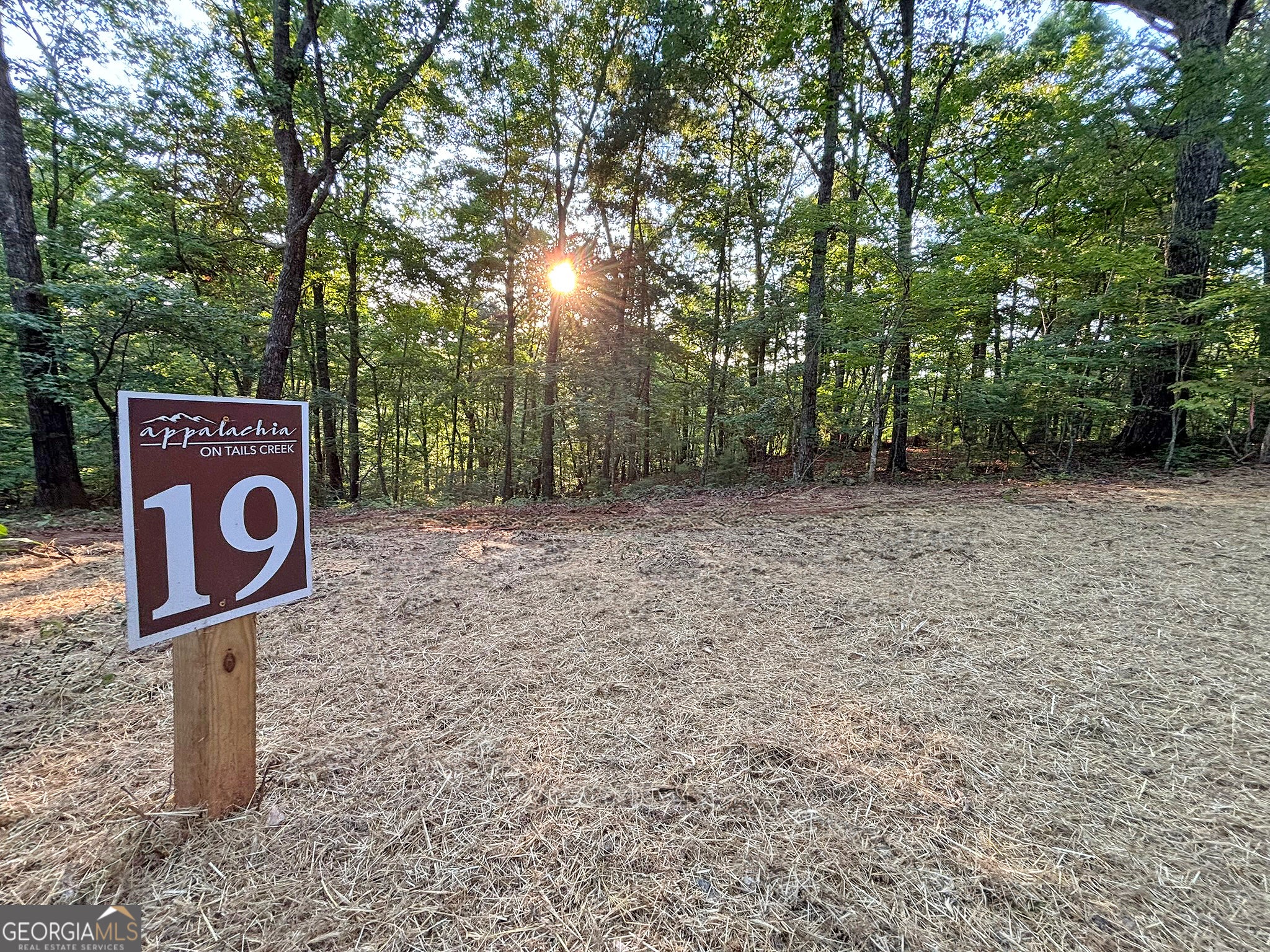 LOT 19 Mt. Springer RD