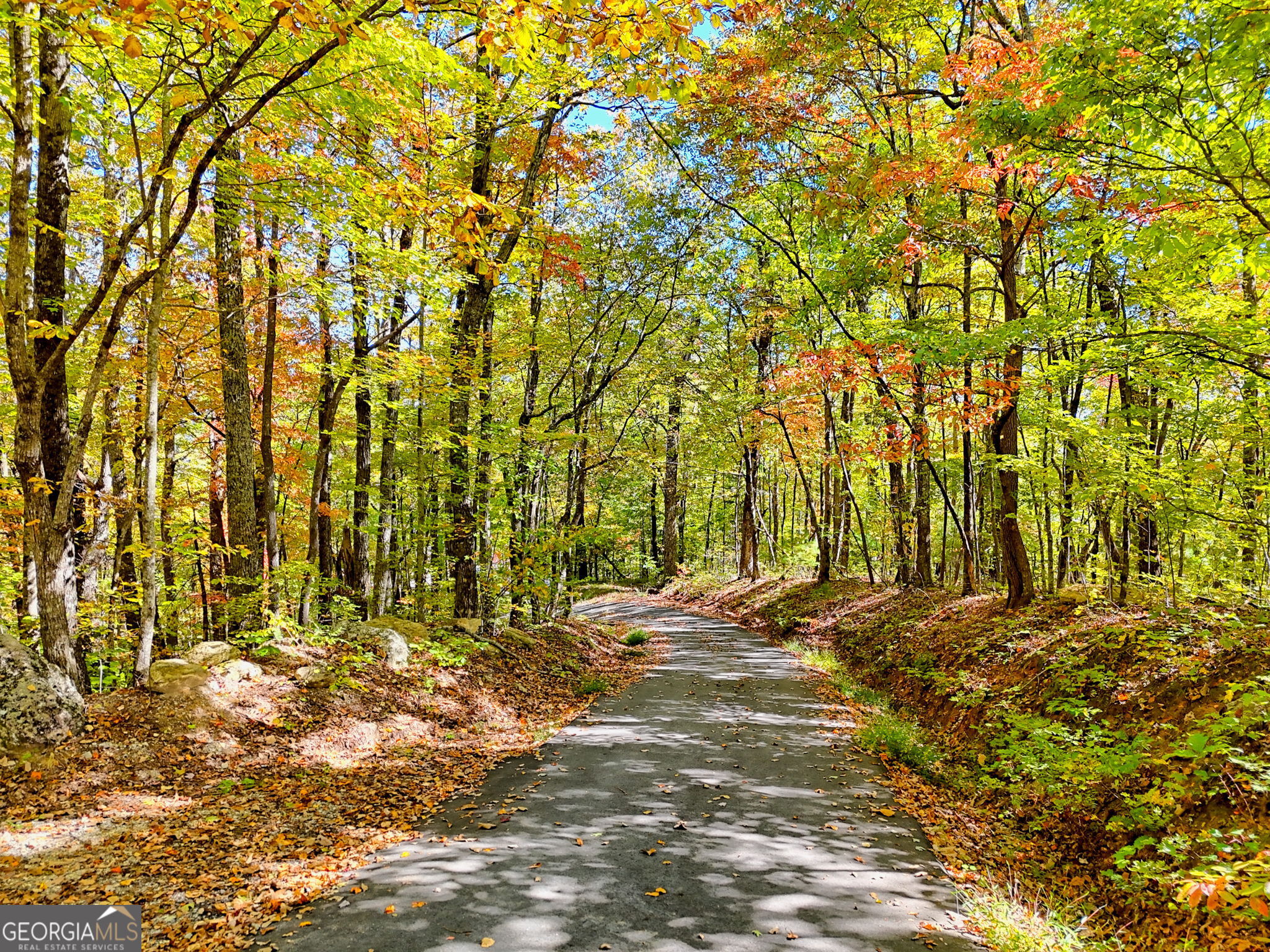 Tiger, Georgia 30576, United States, ,Land,Active,232273