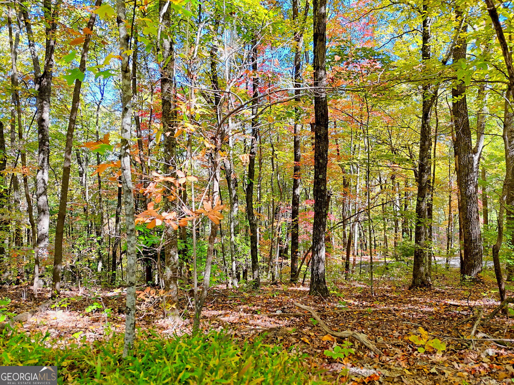 Tiger, Georgia 30576, United States, ,Land,Active,232273