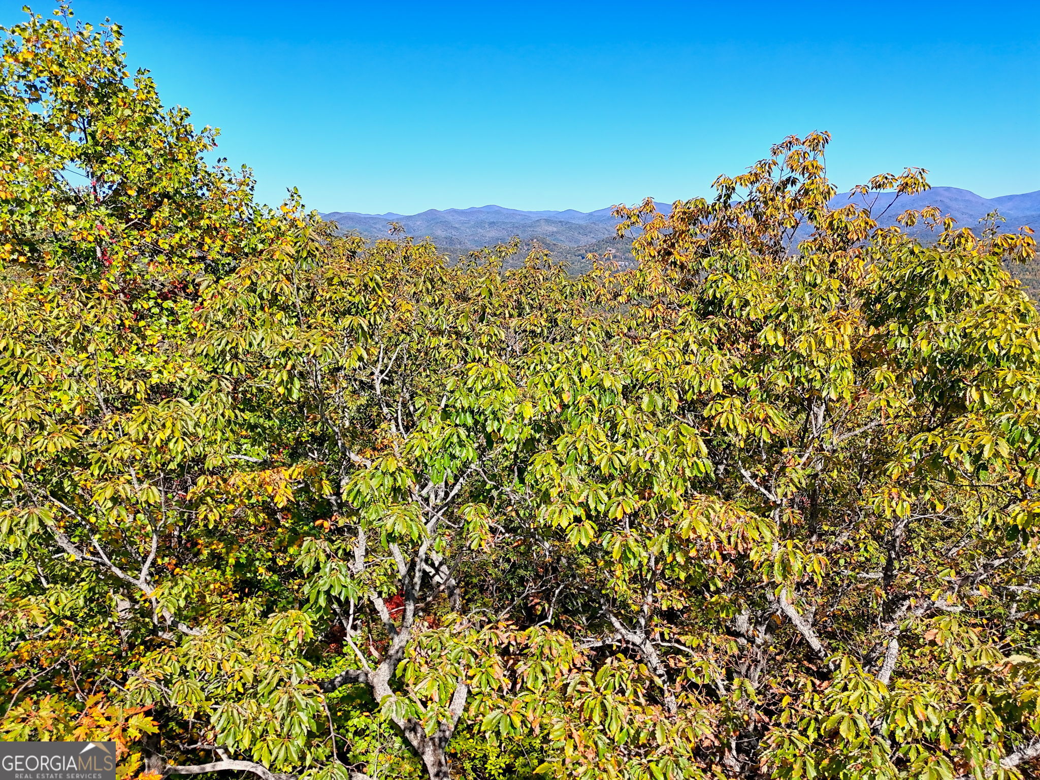 Tiger, Georgia 30576, United States, ,Land,Active,232273