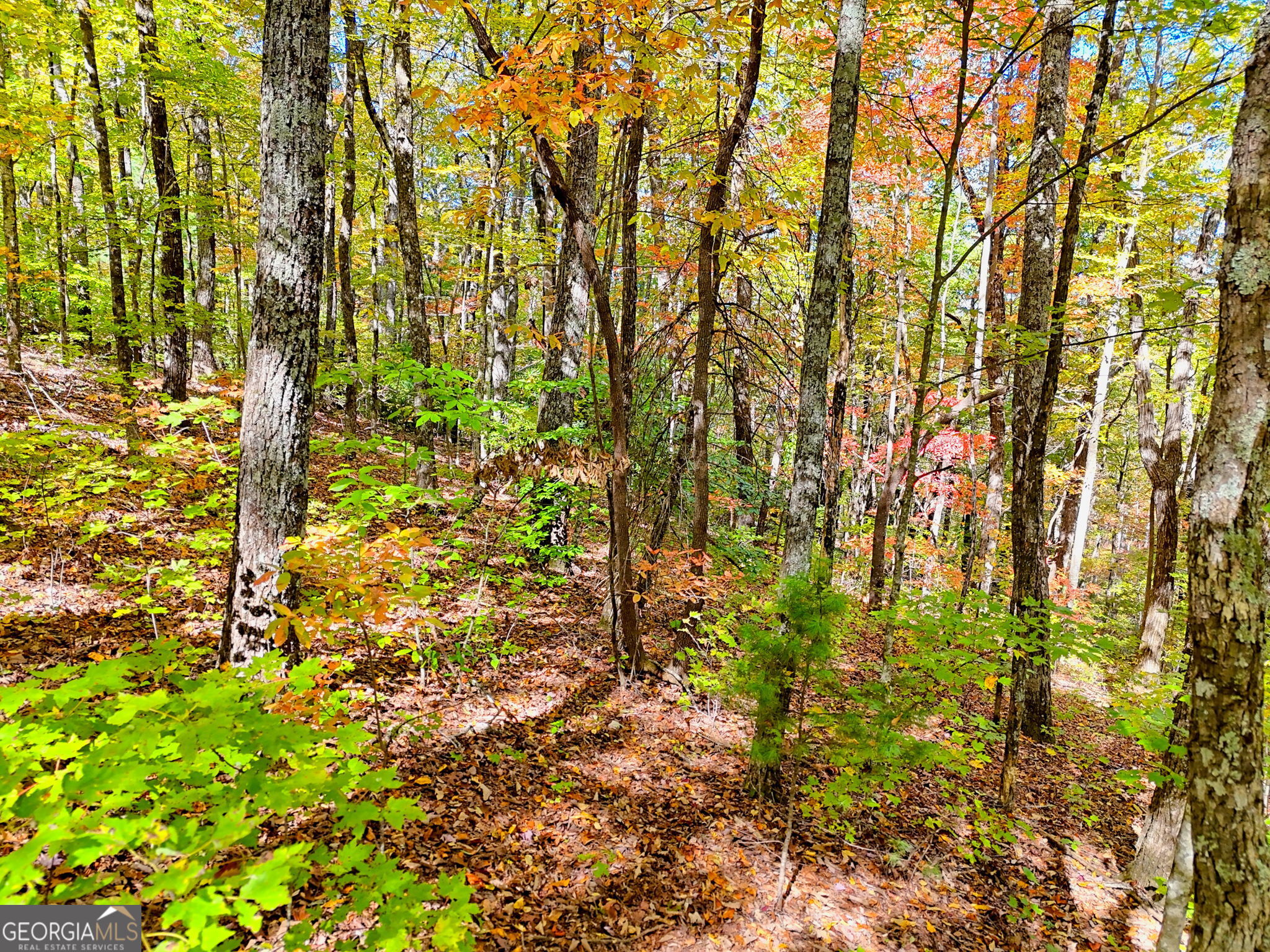 Tiger, Georgia 30576, United States, ,Land,Active,232273