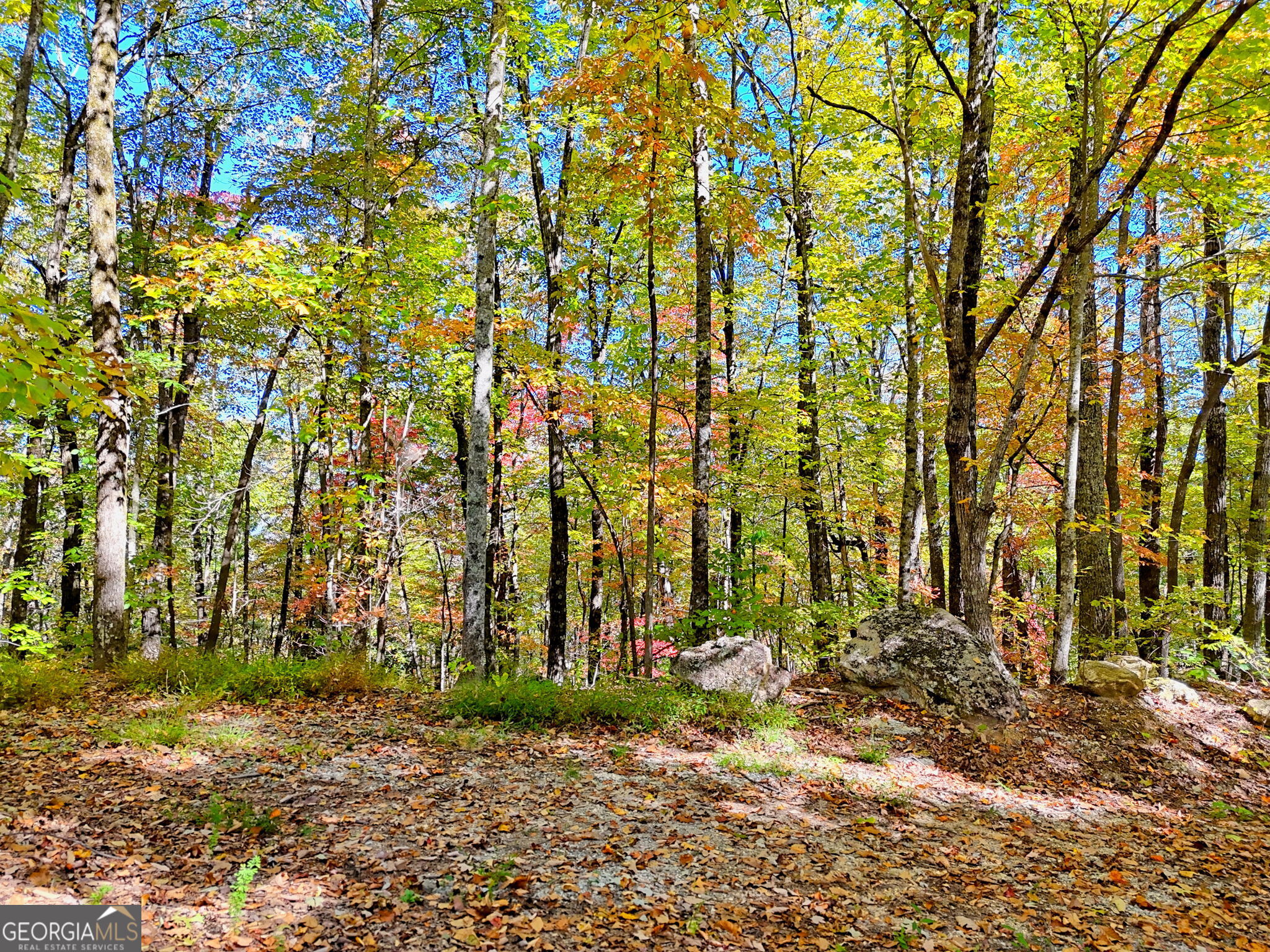 Tiger, Georgia 30576, United States, ,Land,Active,232273