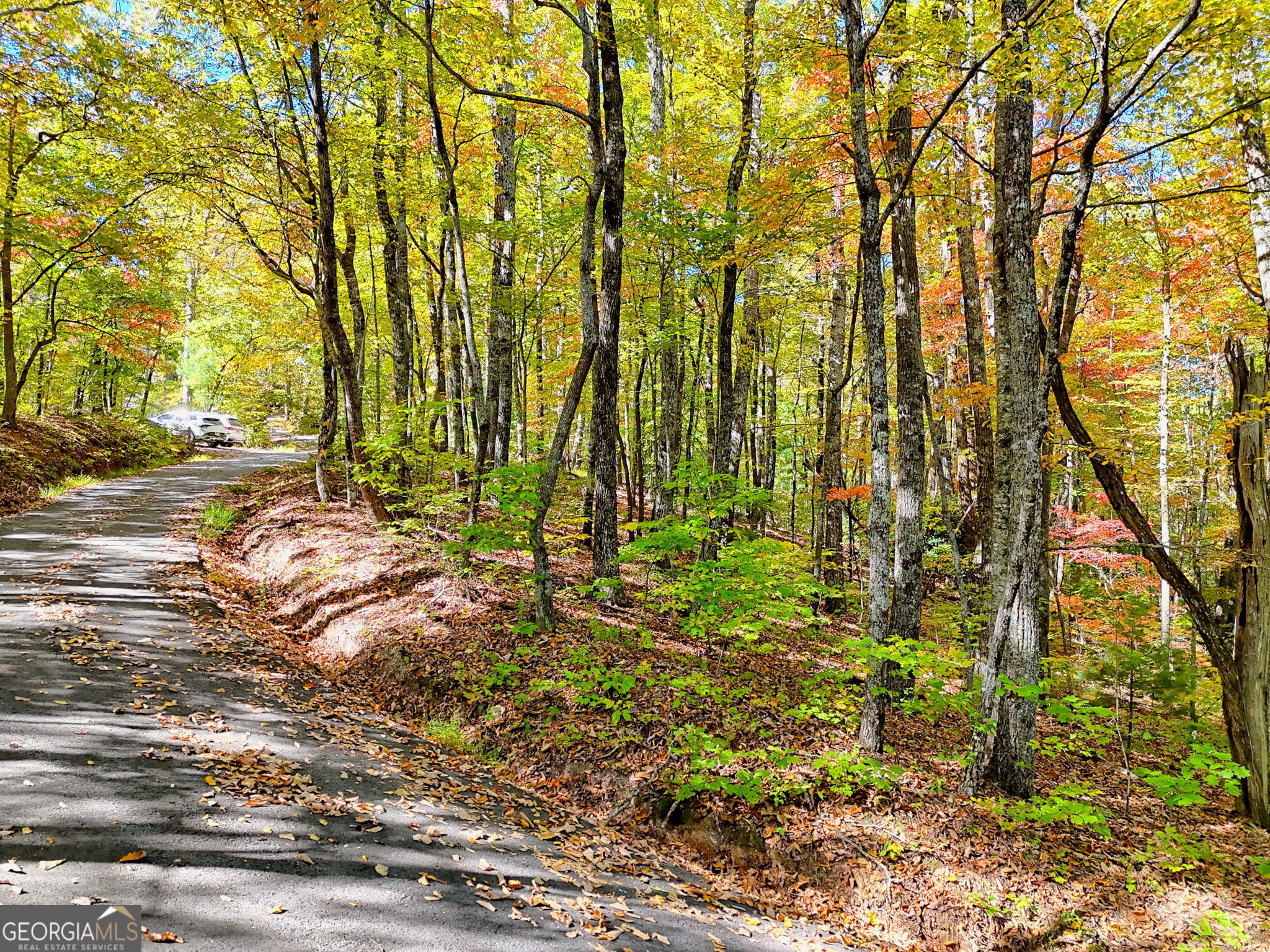 Tiger, Georgia 30576, United States, ,Land,Active,232273