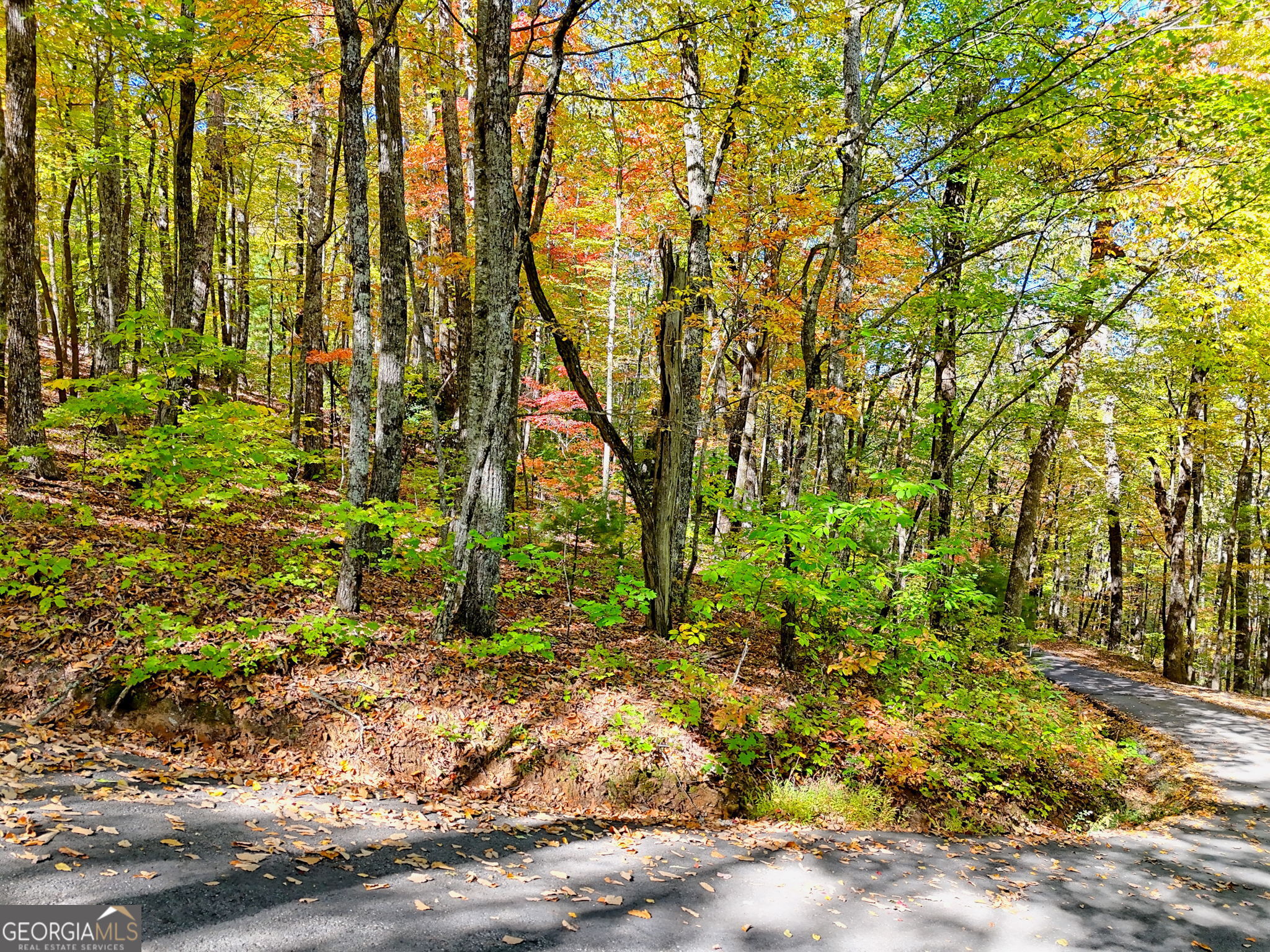 Tiger, Georgia 30576, United States, ,Land,Active,232273